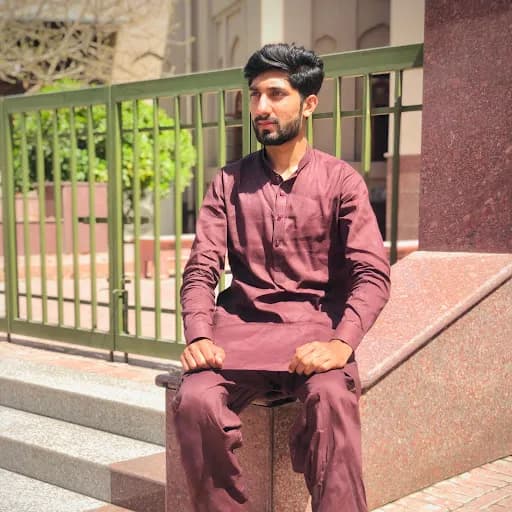 Husnain Ali