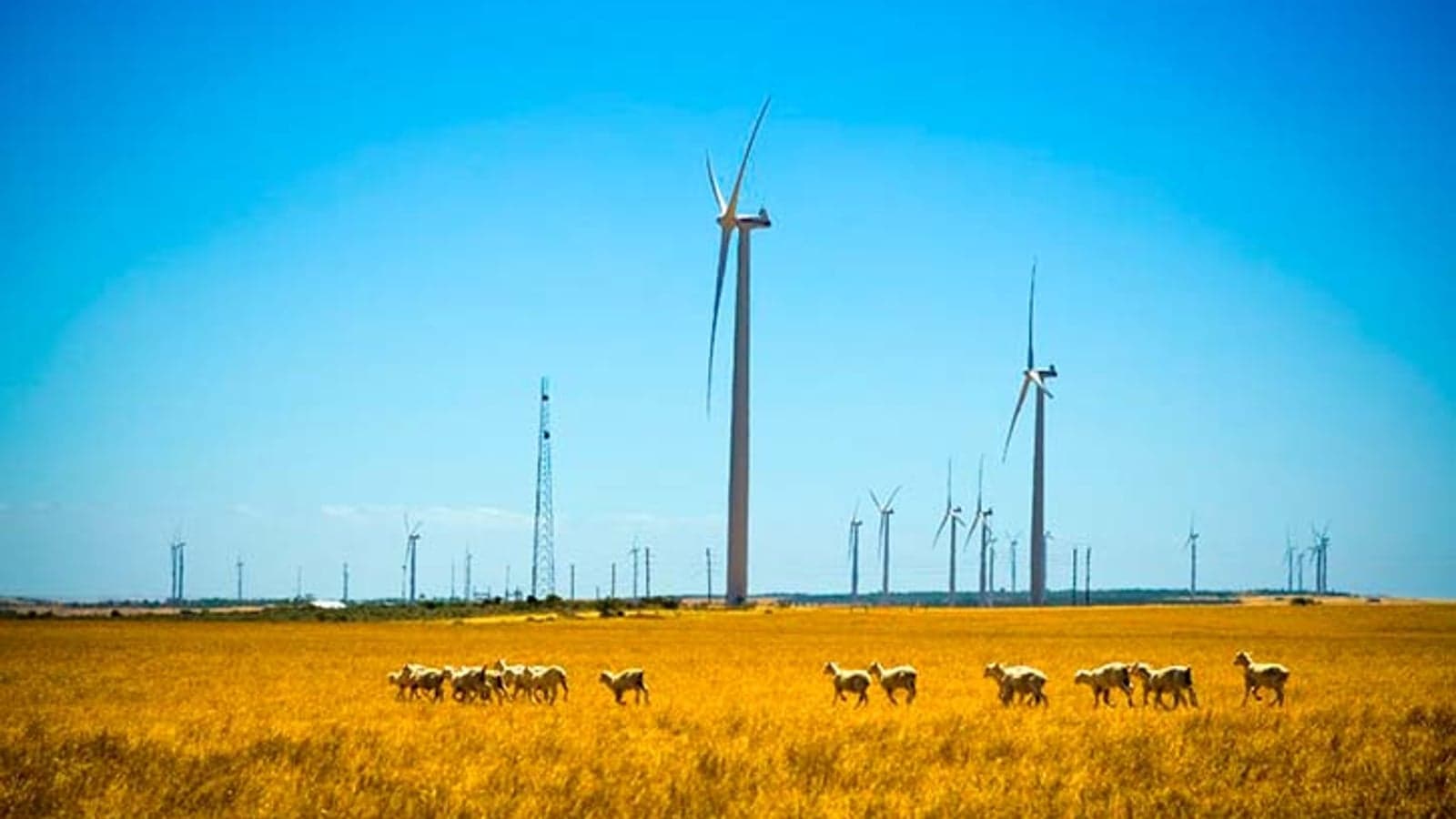 Statkraft to buy electricity from Iberdrola's third Polish windfarm