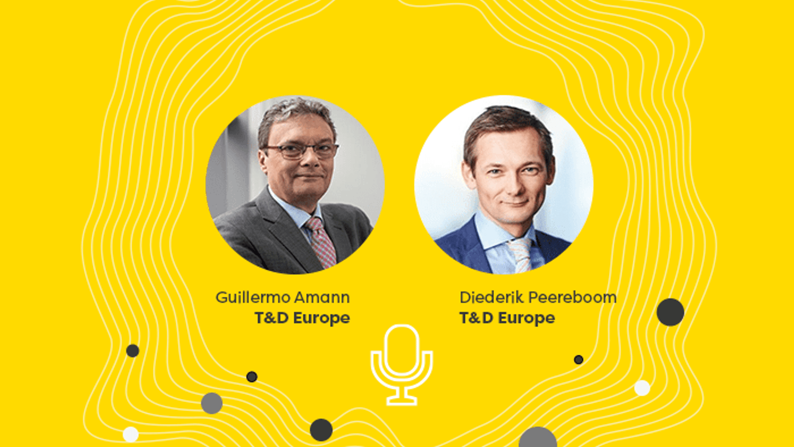 Grids Waves: Diederik Peereboom & Guillermo Amann, T&D Europe