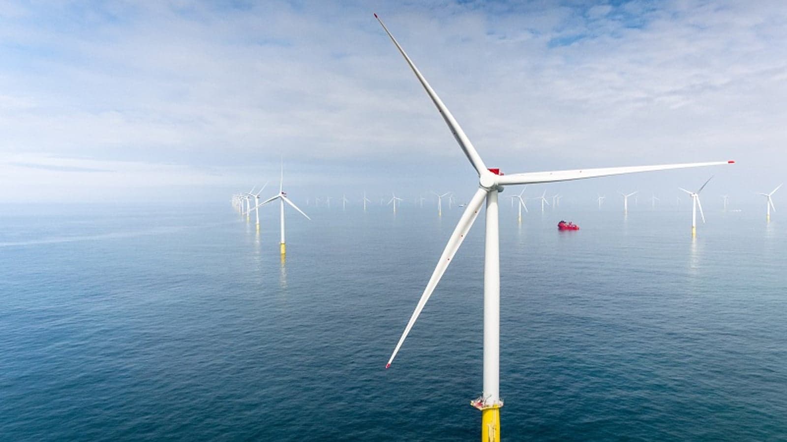 Trump order to halt Equinor windfarm should 'send chills across industries investing in the US'