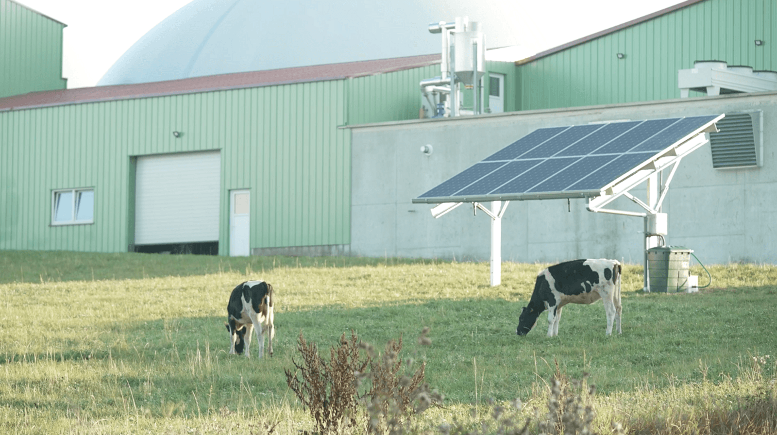 Iberdrola wins four agrovoltaic projects in French renewables tender