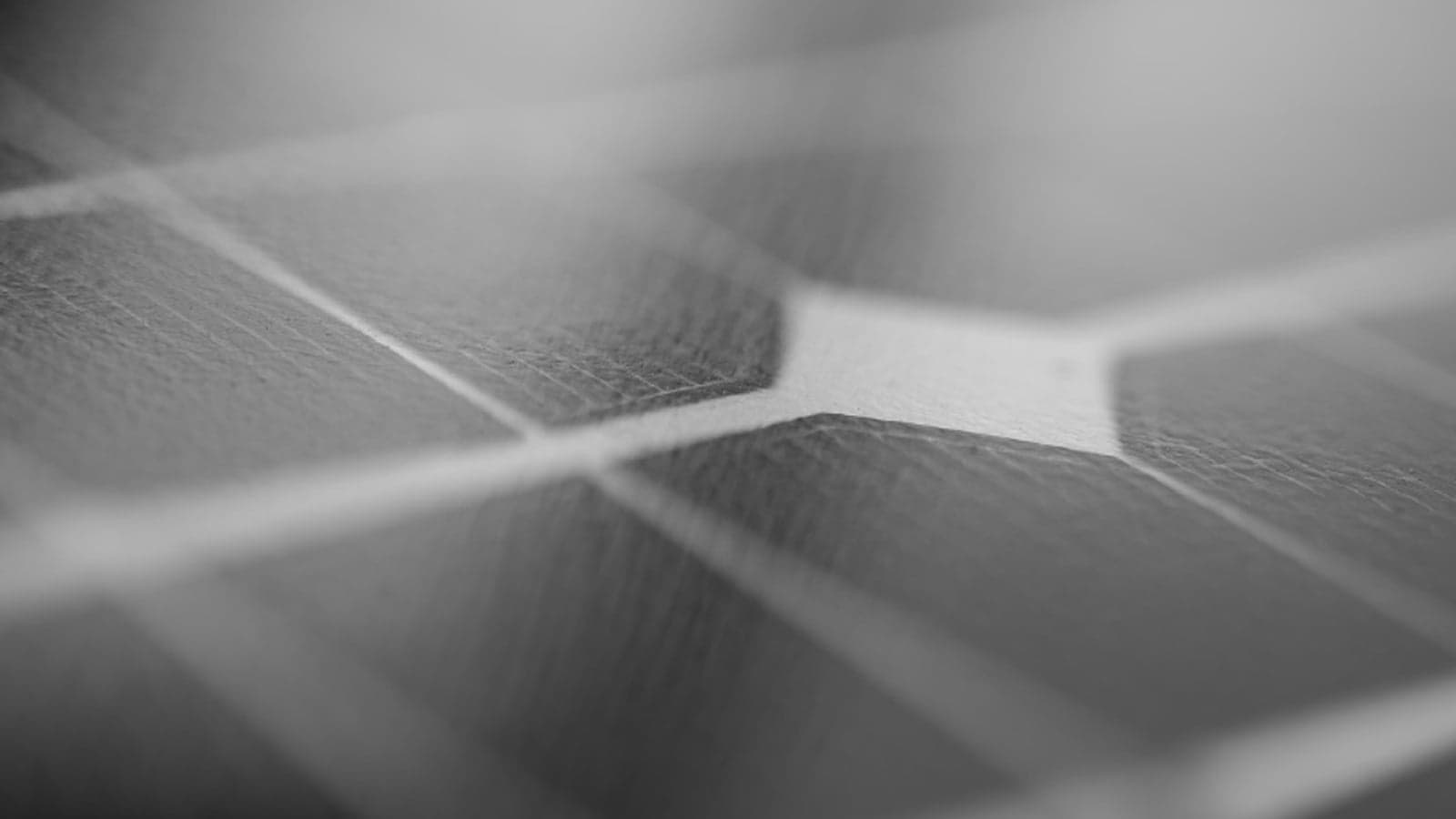 Chinese oil giant connects 40MW solar agrivoltaic project to the grid