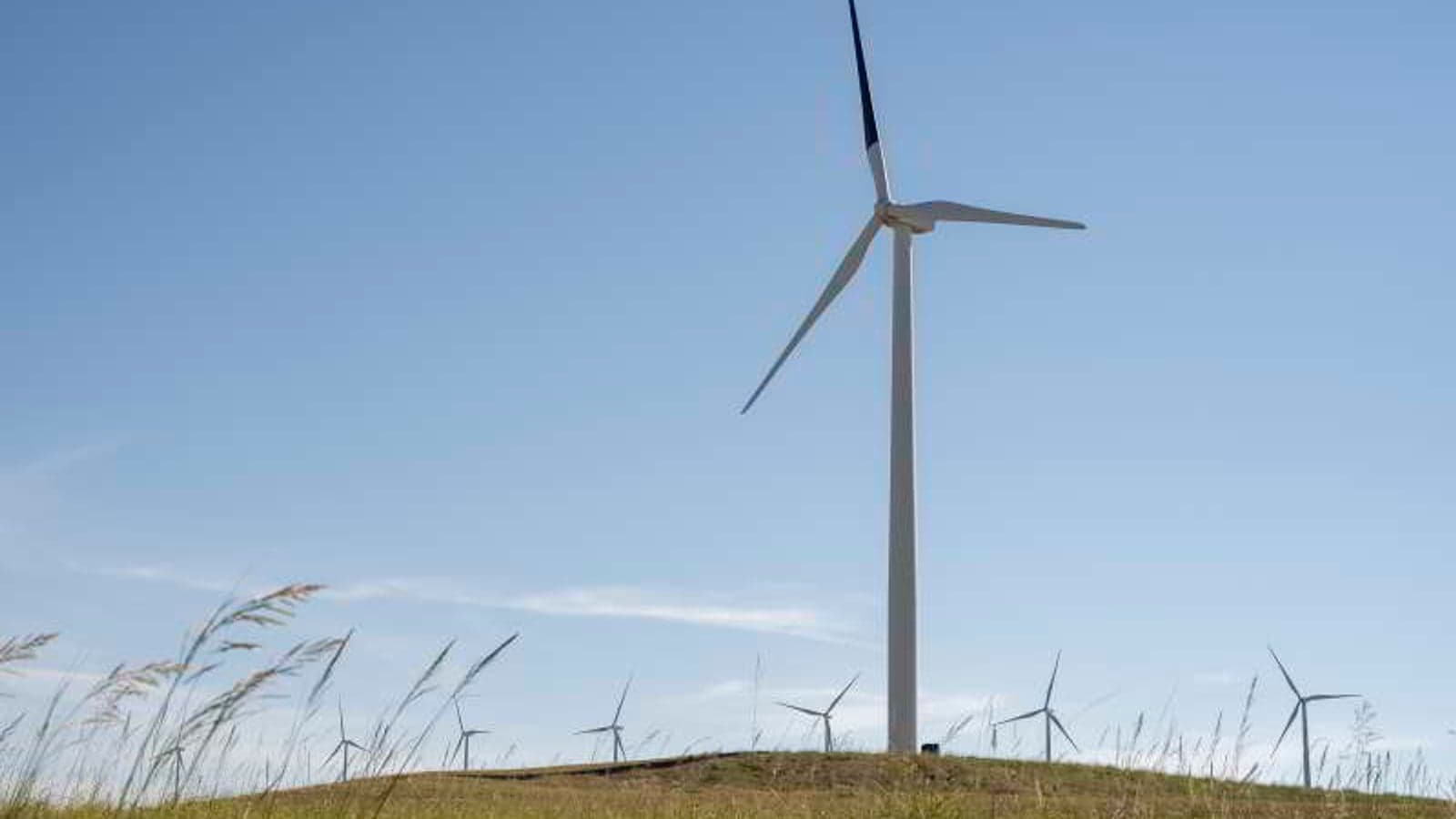 Oregon researchers investigate black wind turbine blades to save birds