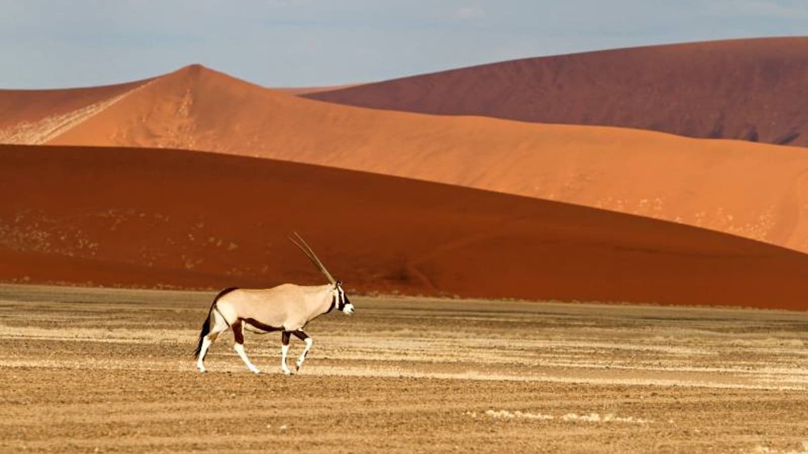 Three reasons why Namibia has the potential to become a green hydrogen hub