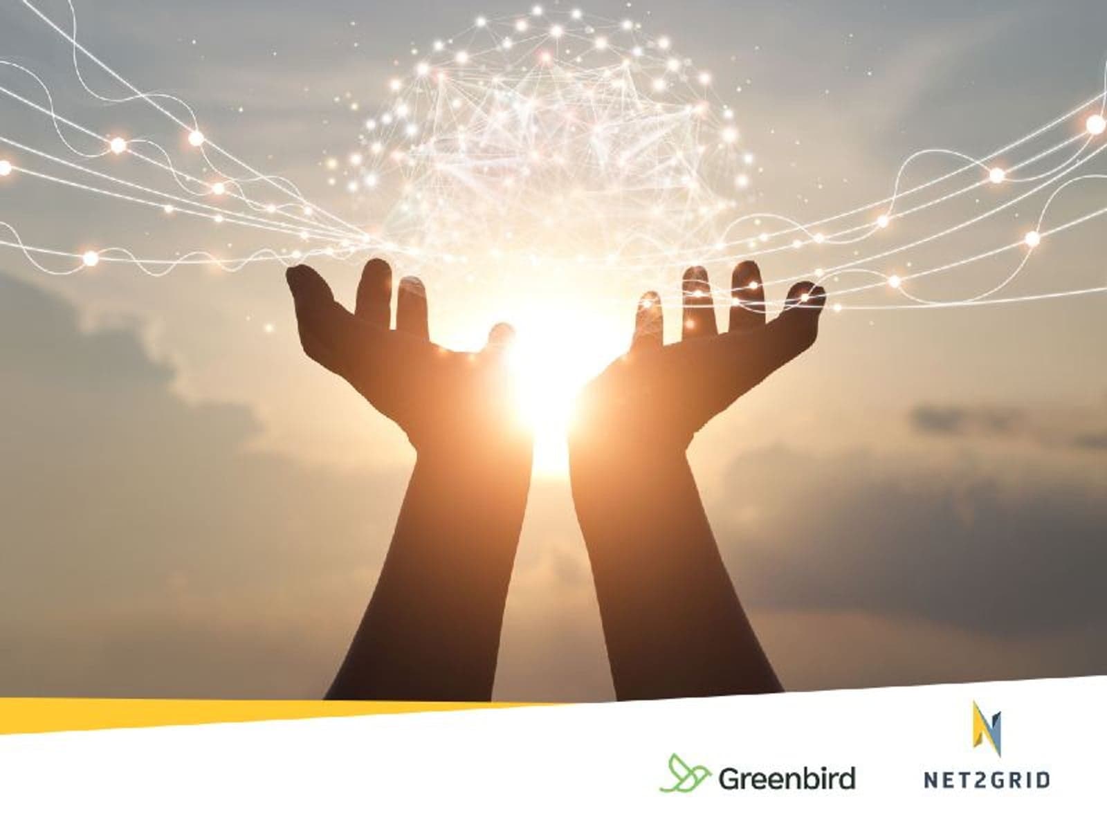 Leverage Net2Grid & Greenbird’s integrated offering for the US market