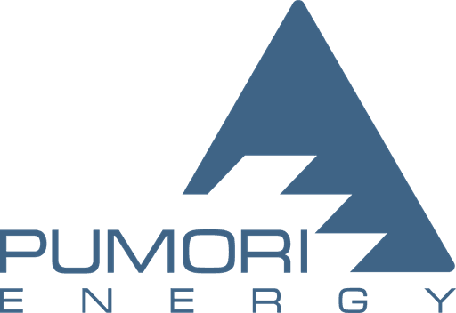 PUMORI-ENERGY LLC