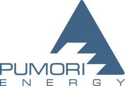 PUMORI-ENERGY LLC
