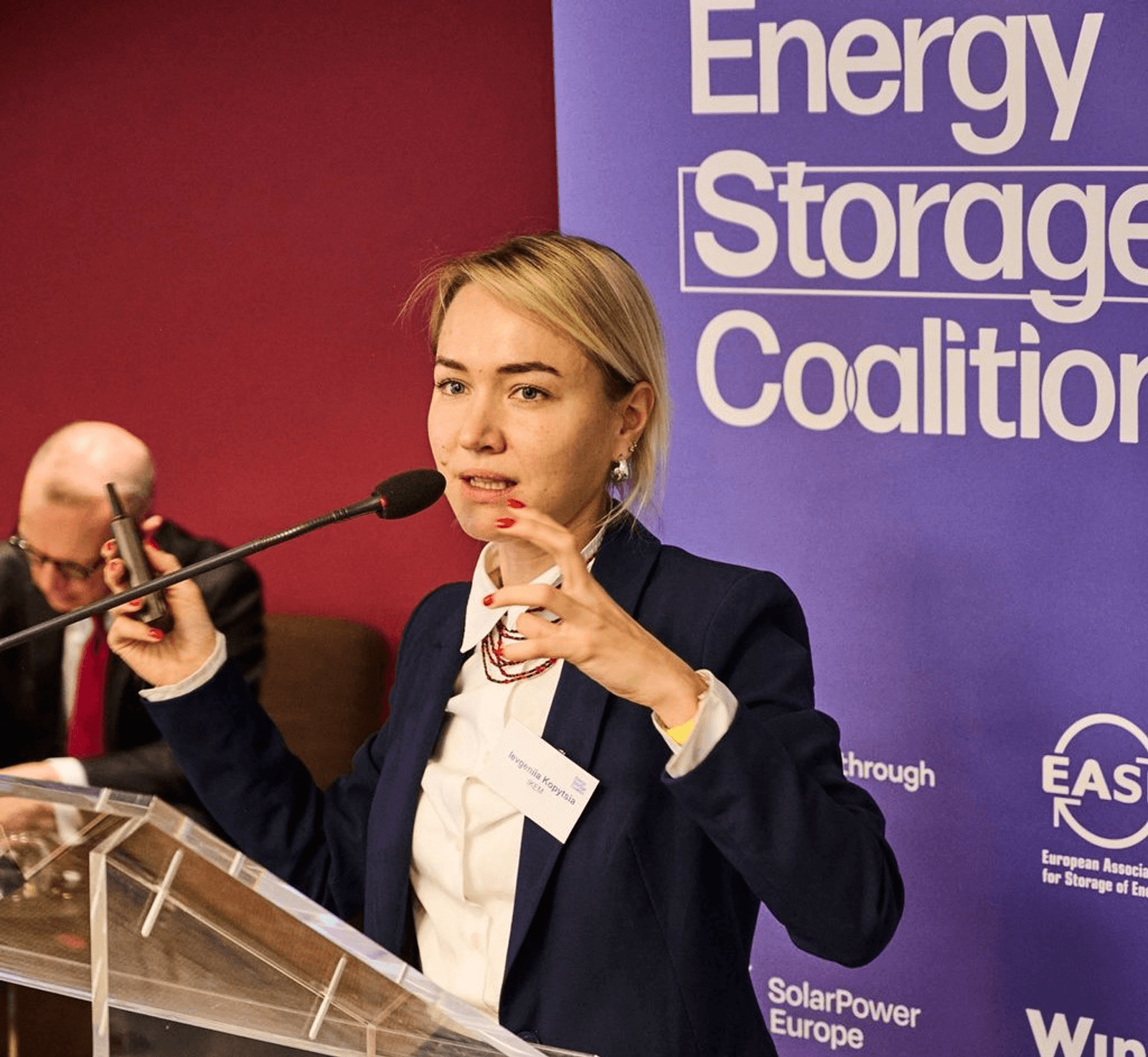 Repower Ukraine with Renewables and Energy Storage
