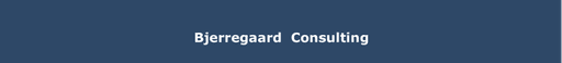 Bjerregaard Consulting