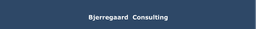 Bjerregaard Consulting