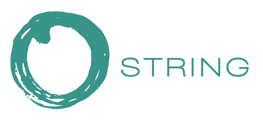 STRING Megaregion