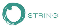 STRING Megaregion