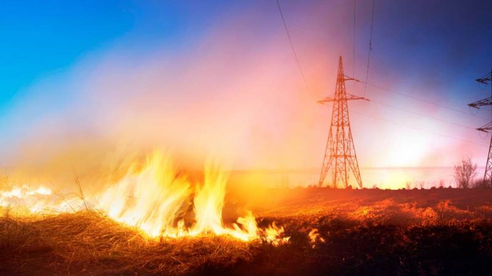 Grid resilience lessons from the frontline of climate change