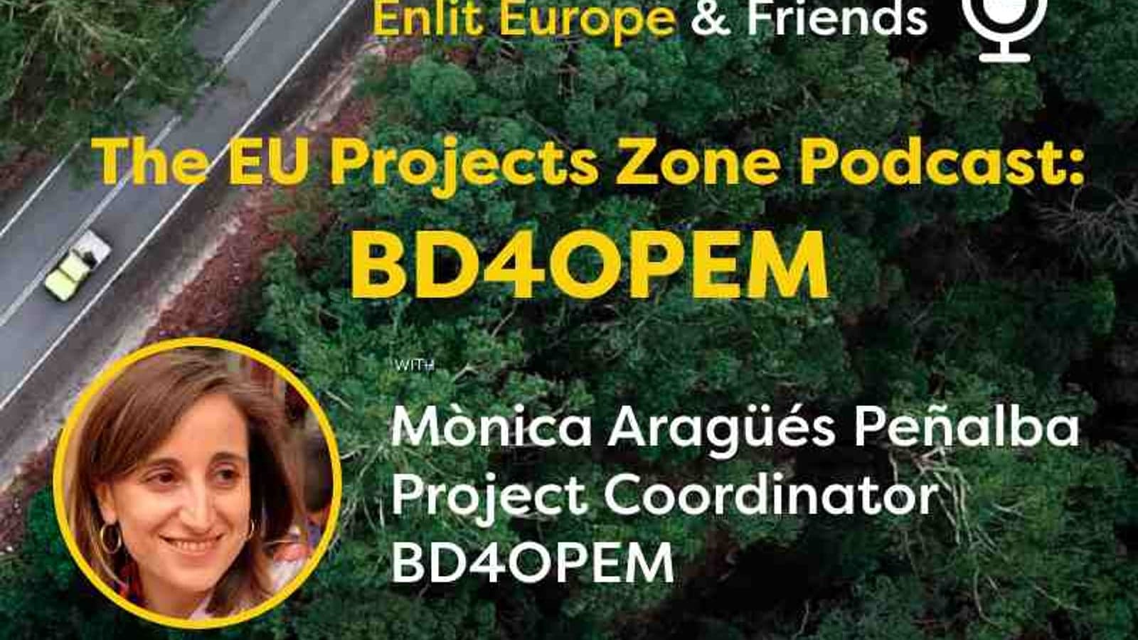 The EU Projects Zone Podcast: Using AI to boost the grid and renewables