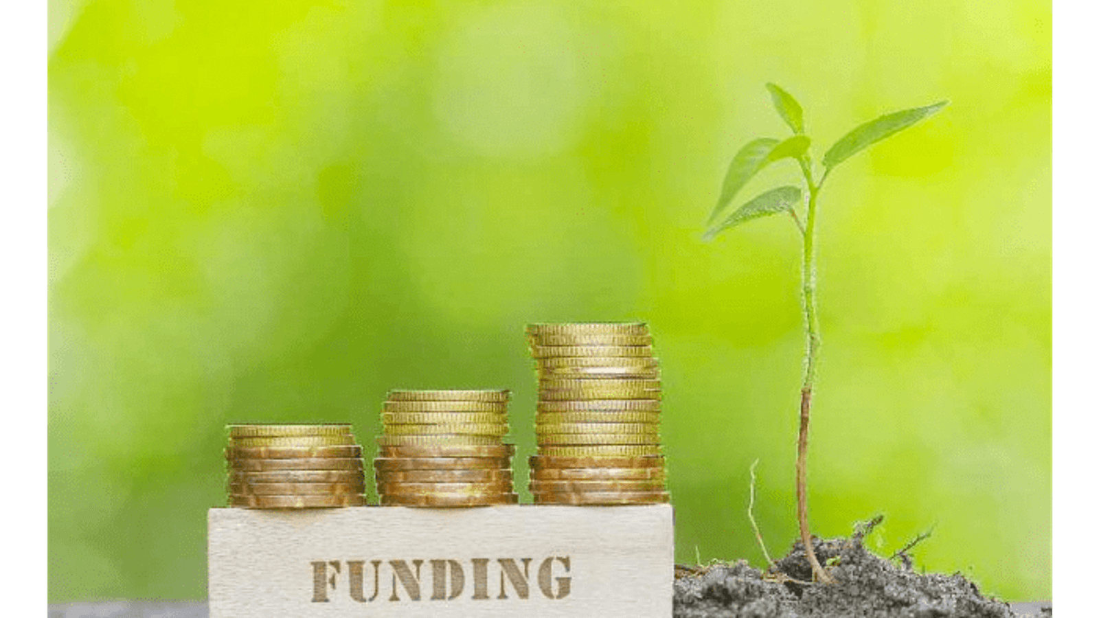 EIB funds Siemens Gamesa's 2020-2023 innovation plan