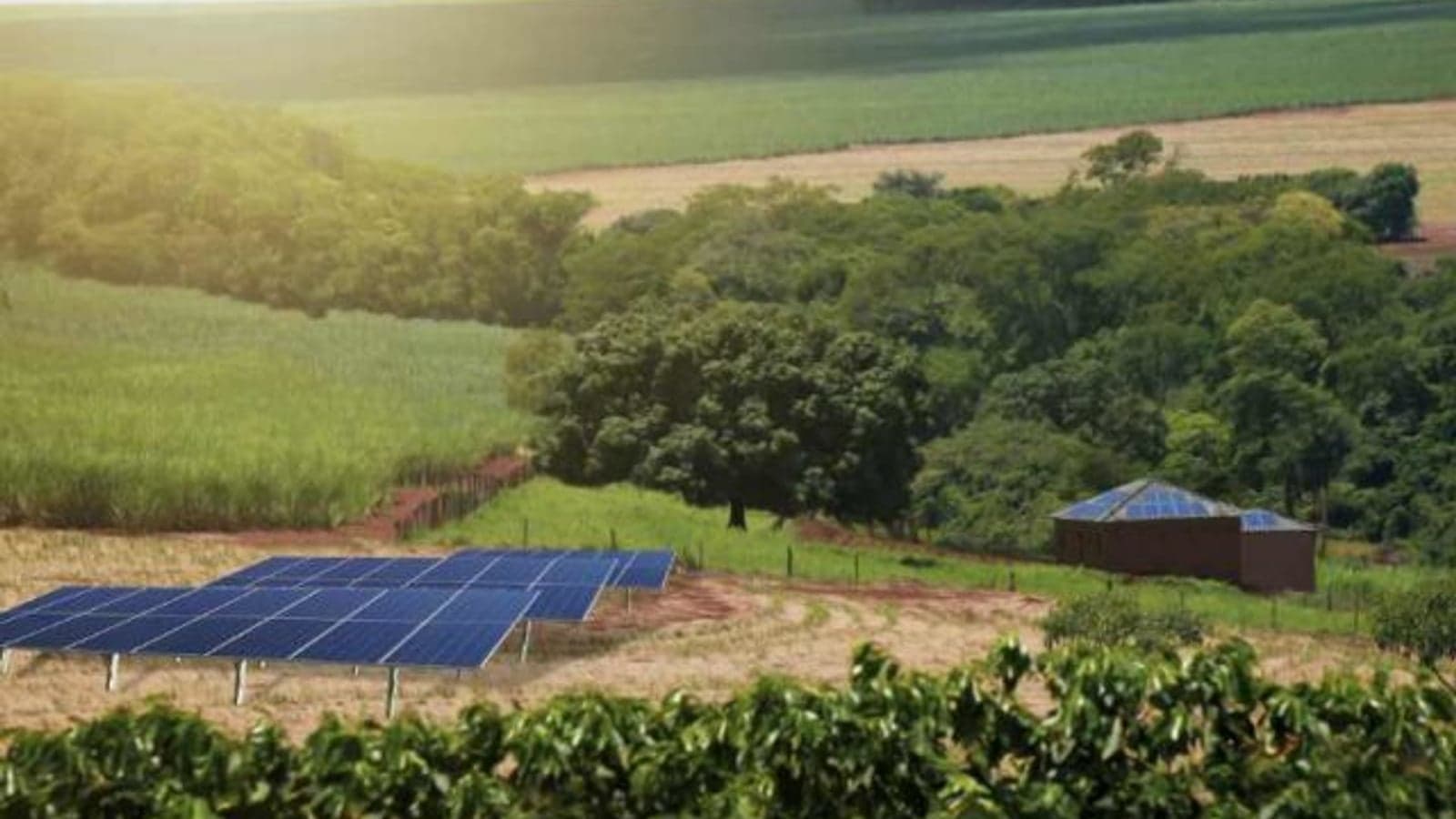 How digital transformation is driving energy access in emerging markets