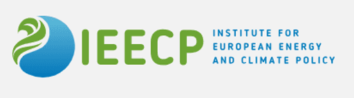 Institute for European Energy and Climate Policy (IEECP)
