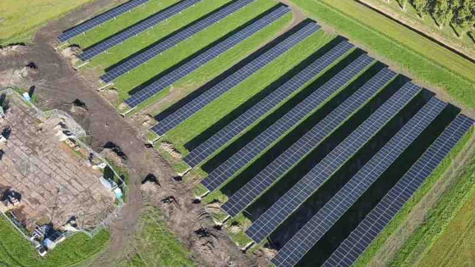 Vattenfall invests in 76MW agrivoltaic project