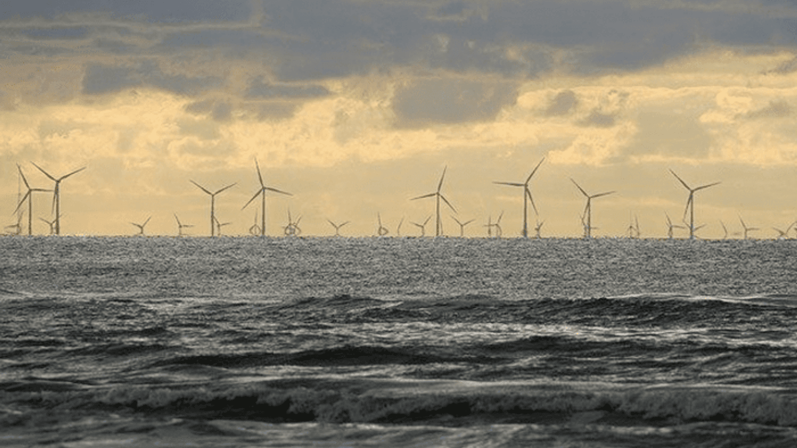 Shell partners with Simply Blue Energy to develop Irish floating wind project