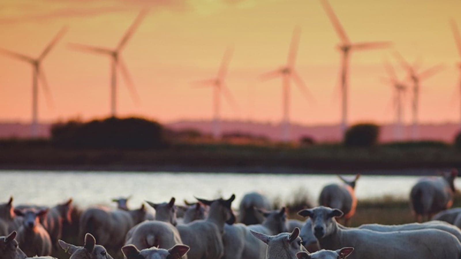 UK Power Networks releases open data on capacity visibility