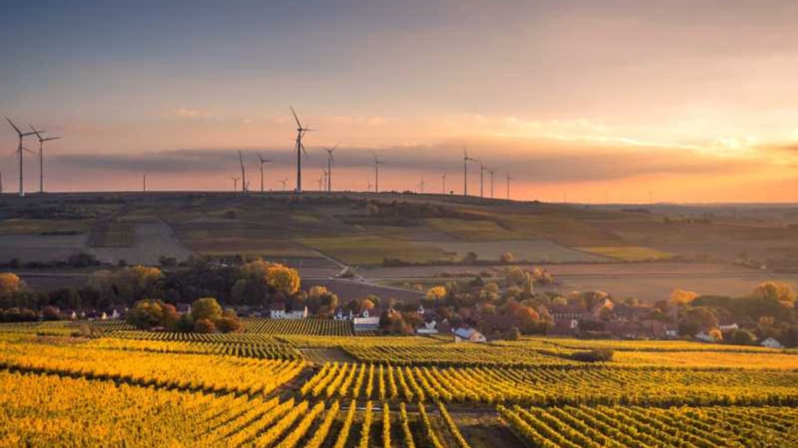 US Inflation Reduction Act fuels call for action on European clean energy policy