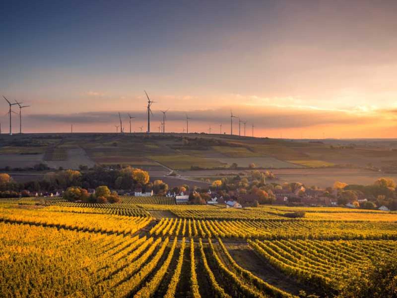 Wind mills on a hillside seen in Mölsheim, Germany. (Courtesy: Karsten Würth/Unsplash)