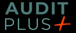 Audit Plus project