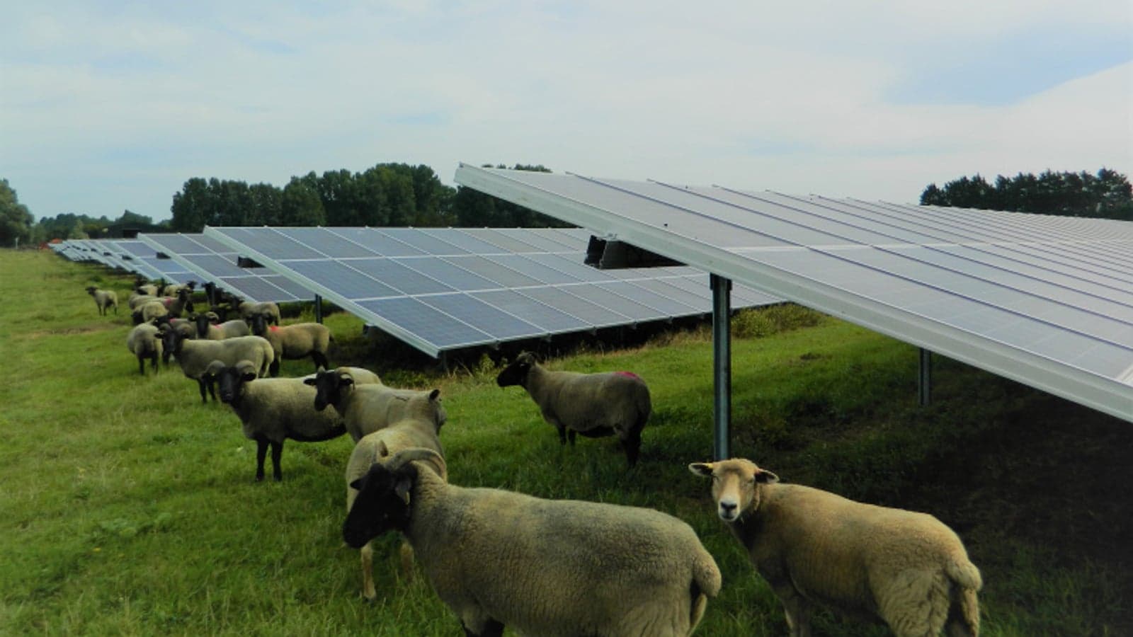 Local energy market delivers up to 90% savings for businesses in GB
