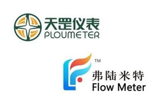 Flow Meter (Weihai) International Trade Co., Ltd