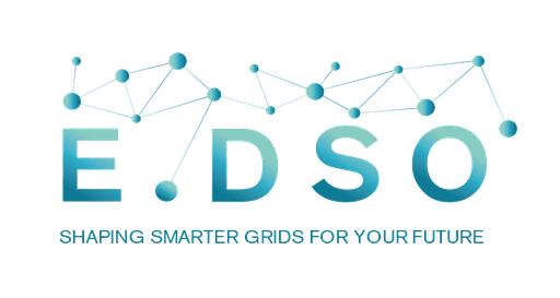 European Distribution System Operators for Smart Grids