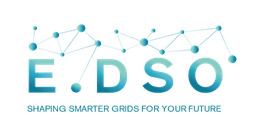 European Distribution System Operators for Smart Grids