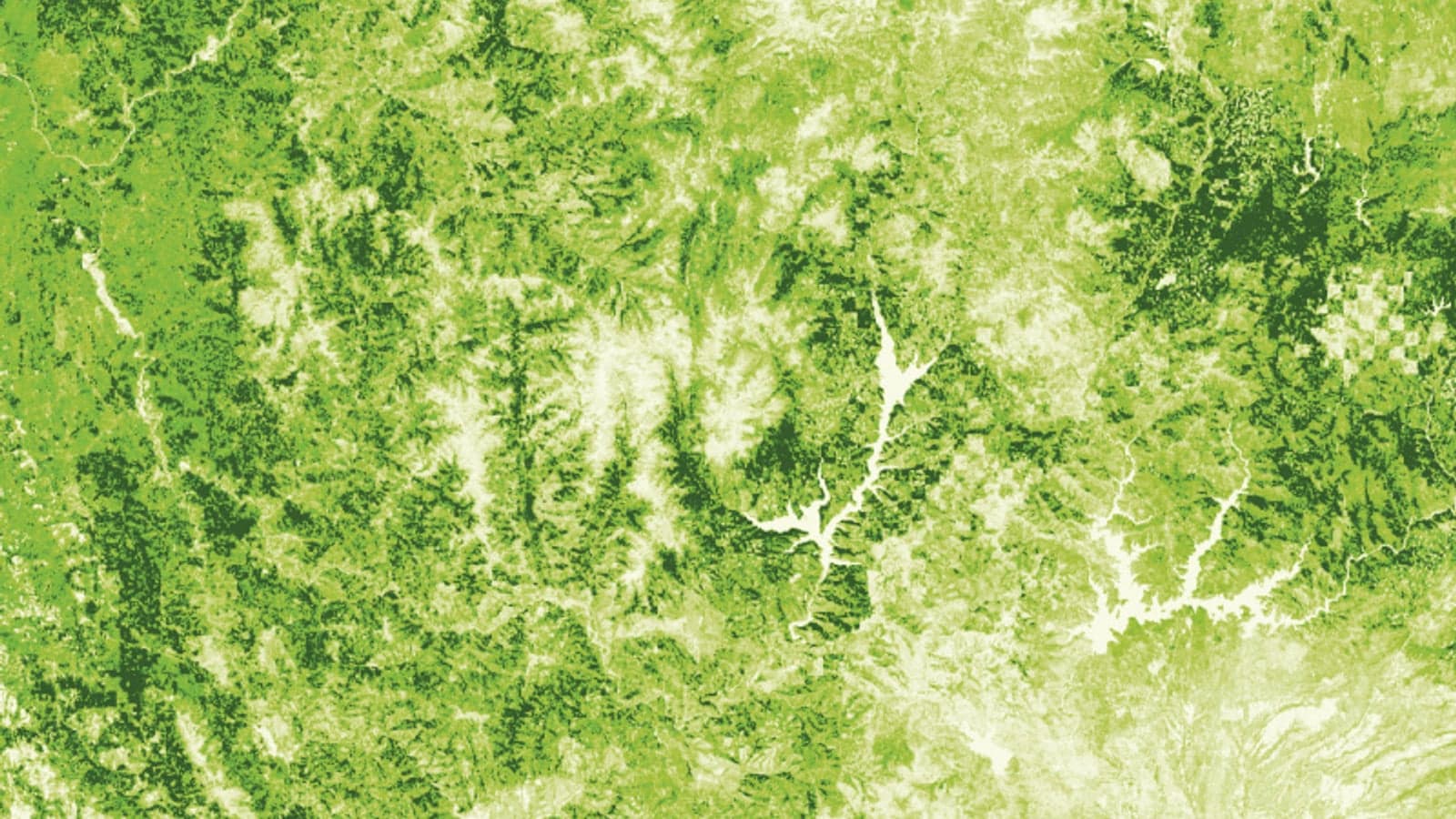 Pacific Gas & Electric taps satellite data for tree management