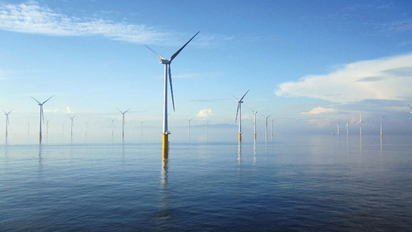 RWE signs PPA with five UK co-operatives