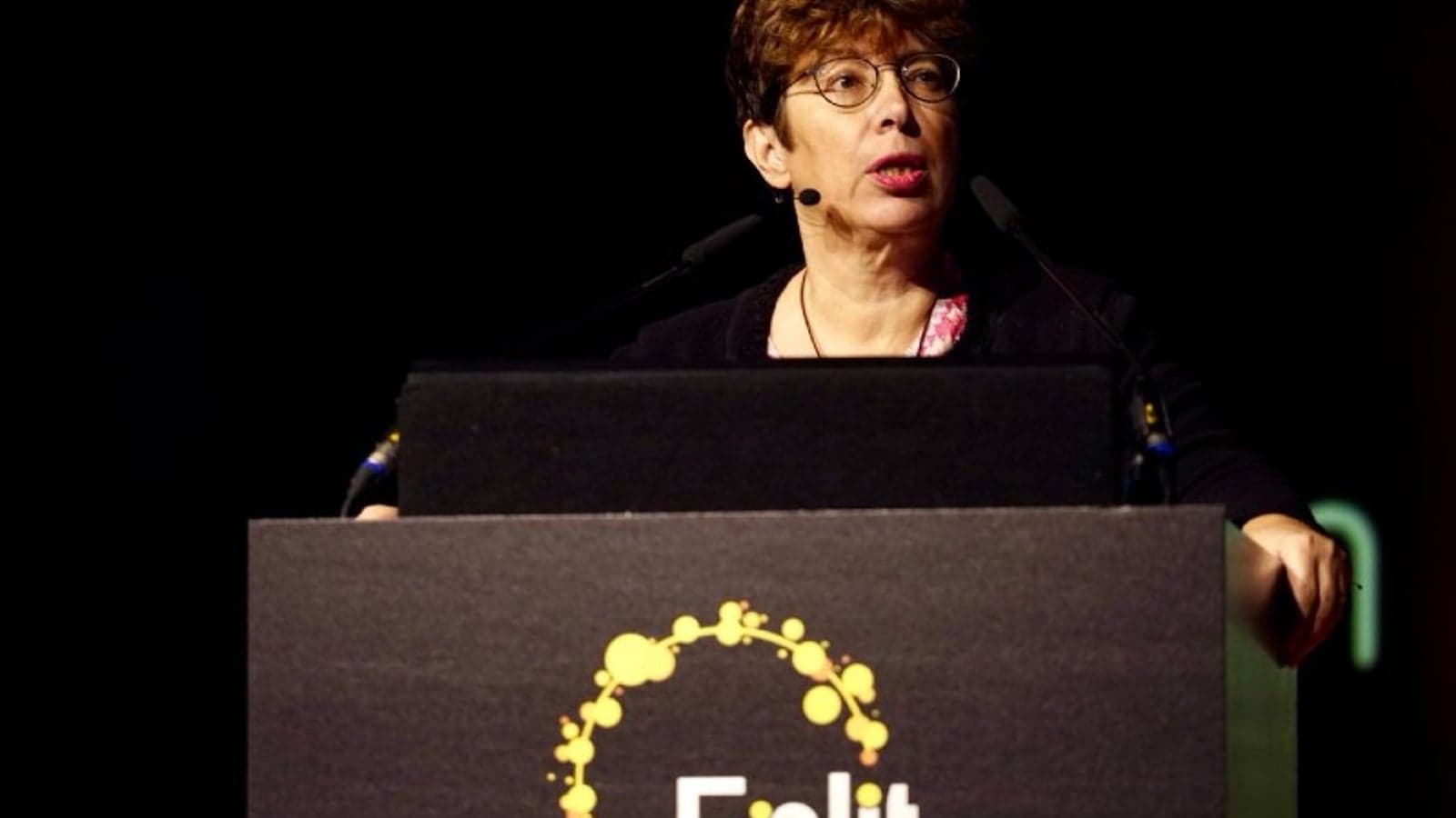 Enedis chief calls for energy sobriety to meet transition goals