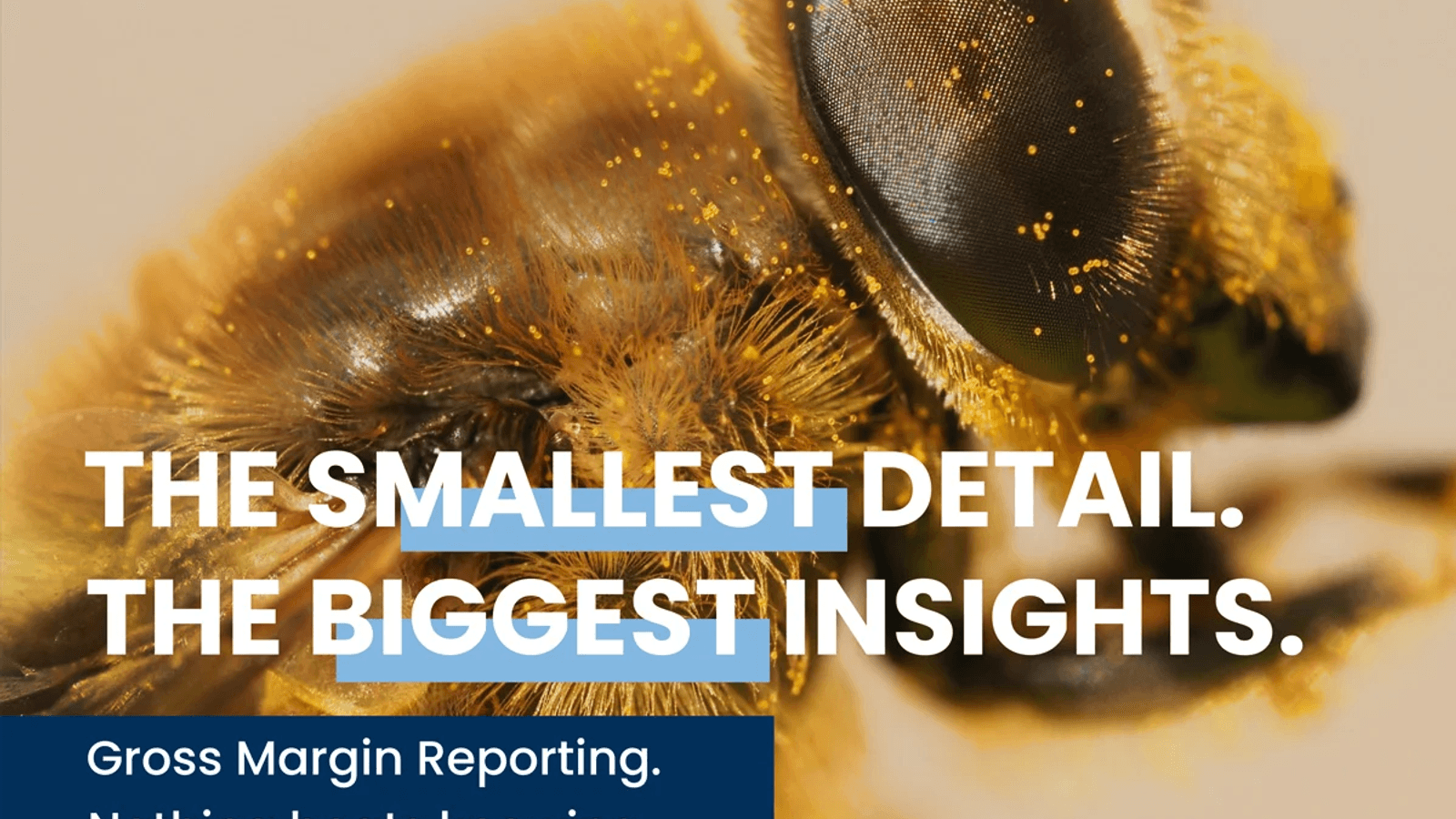 How audit-ready financial reporting reduces risk and builds trust