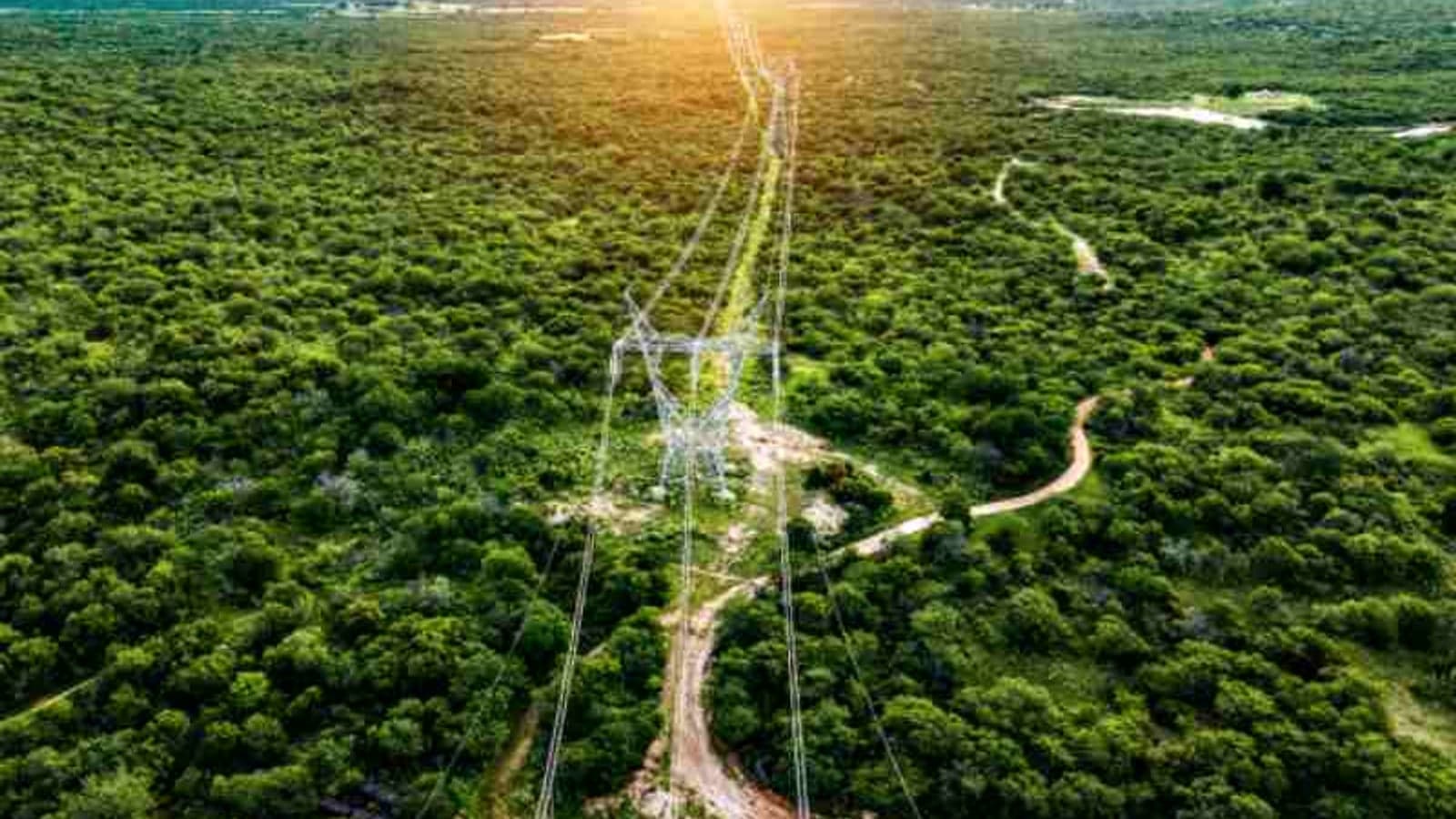 Iberdrola breaks record for distributed energy in 2024