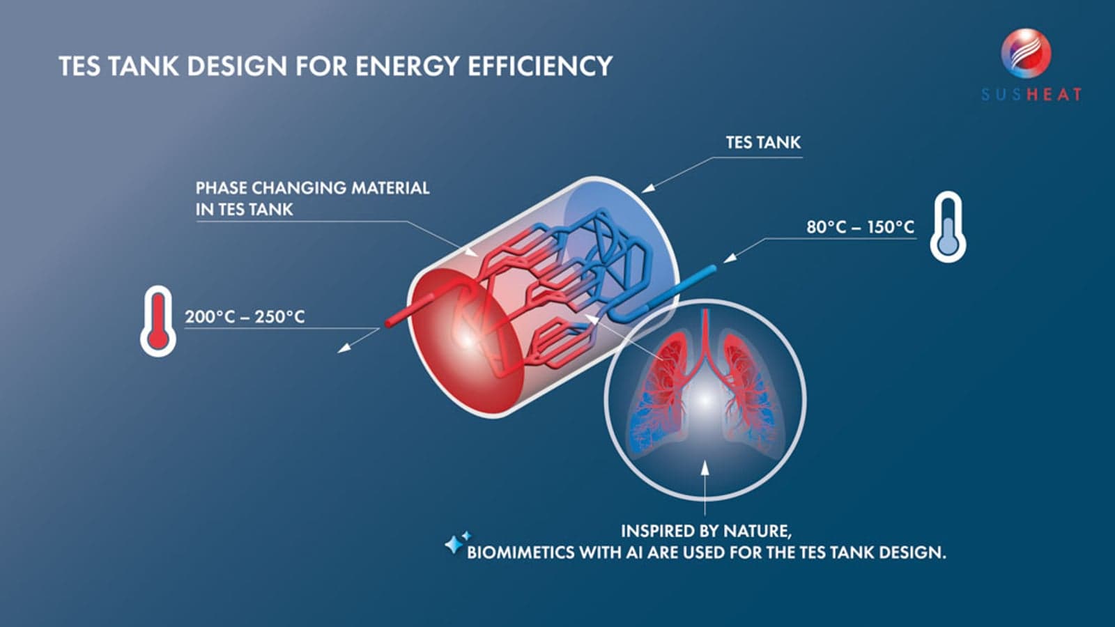 Bio-inspired thermal energy storage tank.