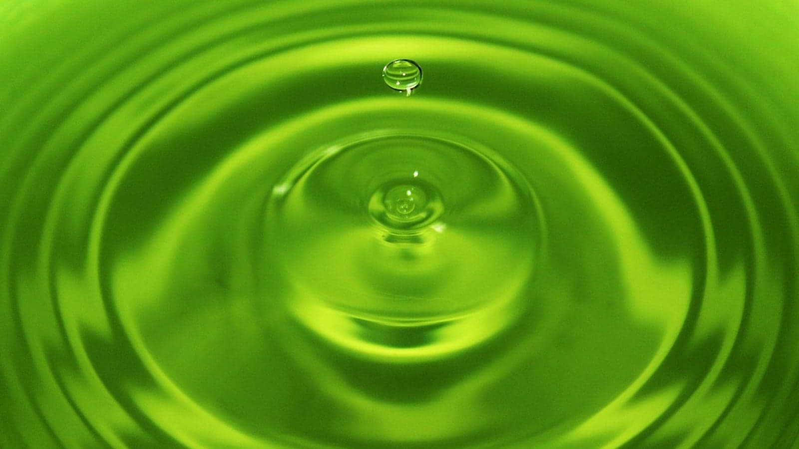 Positive| pragmatic| disruptive: the ripple effects of the Inflation Reduction Act