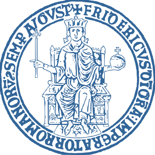 UNIVERSITA DEGLI STUDI DI NAPOLI FEDERICO II