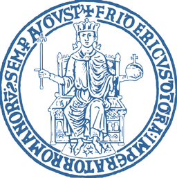 UNIVERSITA DEGLI STUDI DI NAPOLI FEDERICO II