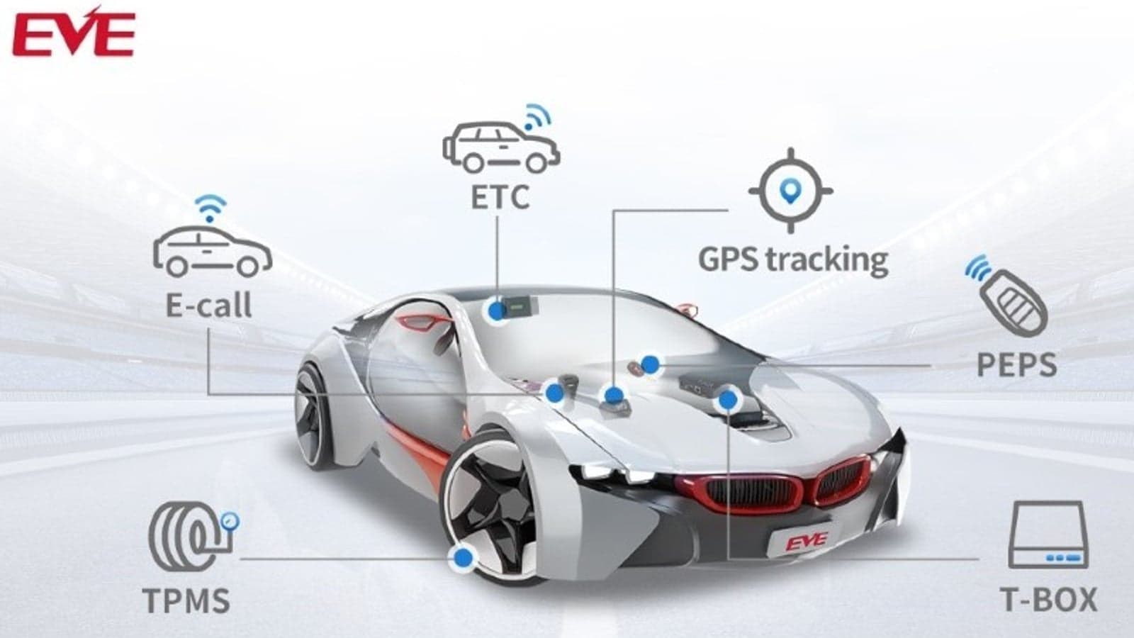 Providing more than 250 million automotive electronic batteries globally