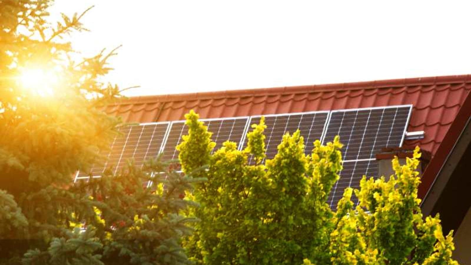 Enexis pilots solar panel dimming for grid balancing