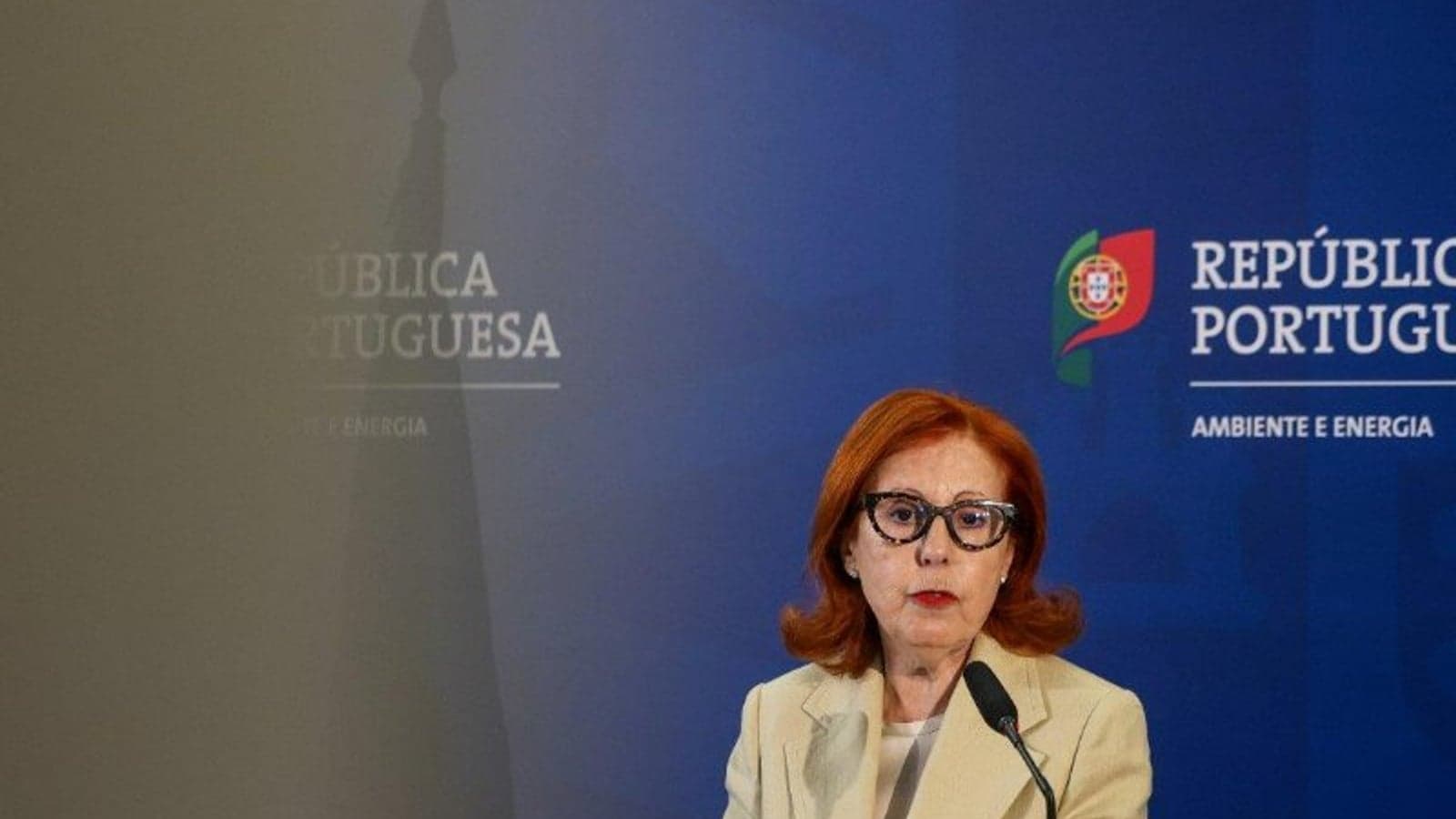 Portugal to invest €137m in grid upgrades following April blackout