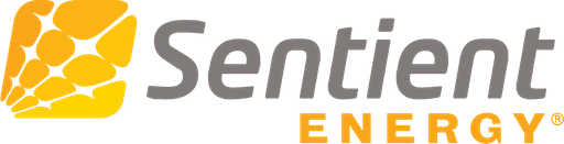 SENTIENT ENERGY INC
