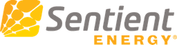 SENTIENT ENERGY INC