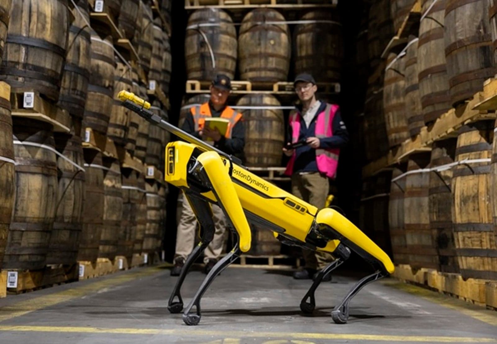 Robot dog at a whisky warehouse. Photo, Boston Dynamics