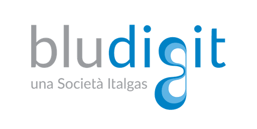 Bludigit SpA