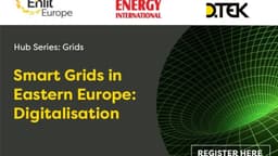 Smart Grids in Eastern Europe: Digitalisation