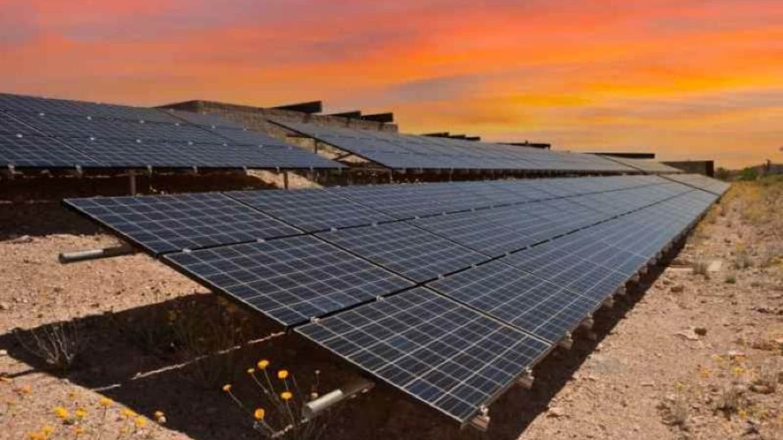 PPAs signed for $3bn trio of solar farms in Saudi Arabia