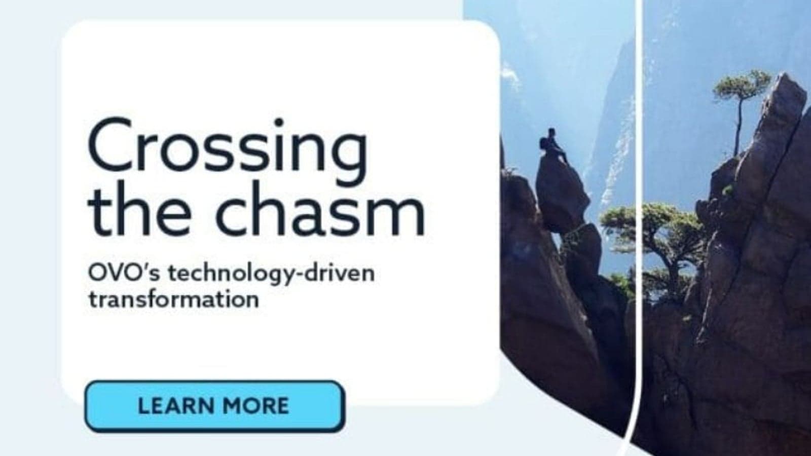 Case study: Crossing the Chasm